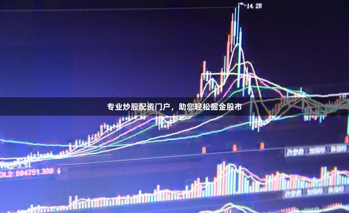 专业炒股配资门户，助您轻松掘金股市